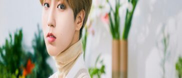 Stray Kids Han