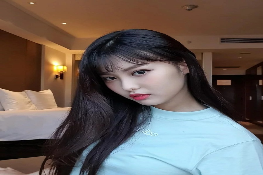 Informationen über Momoland Ahin