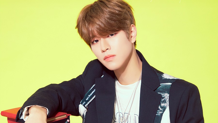 Informationen über Stray Kids Seungmin
