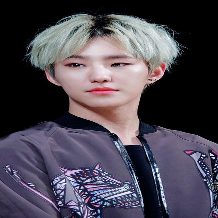 Seventeen Hoshi