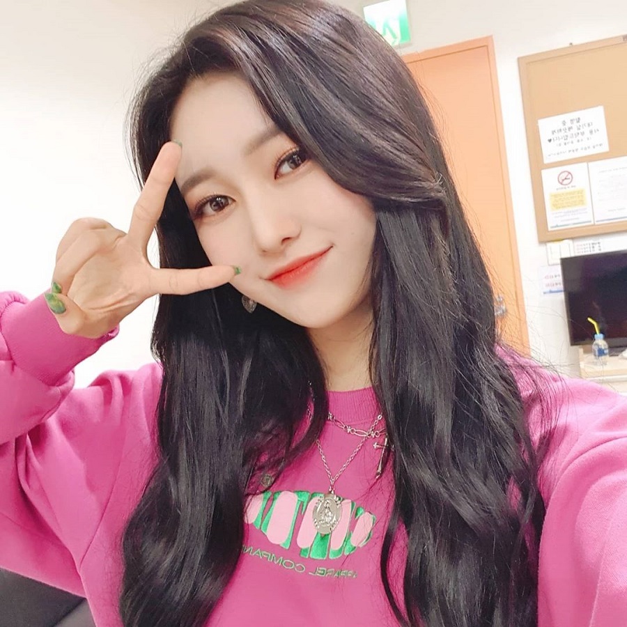 Informationen über Momoland Jane