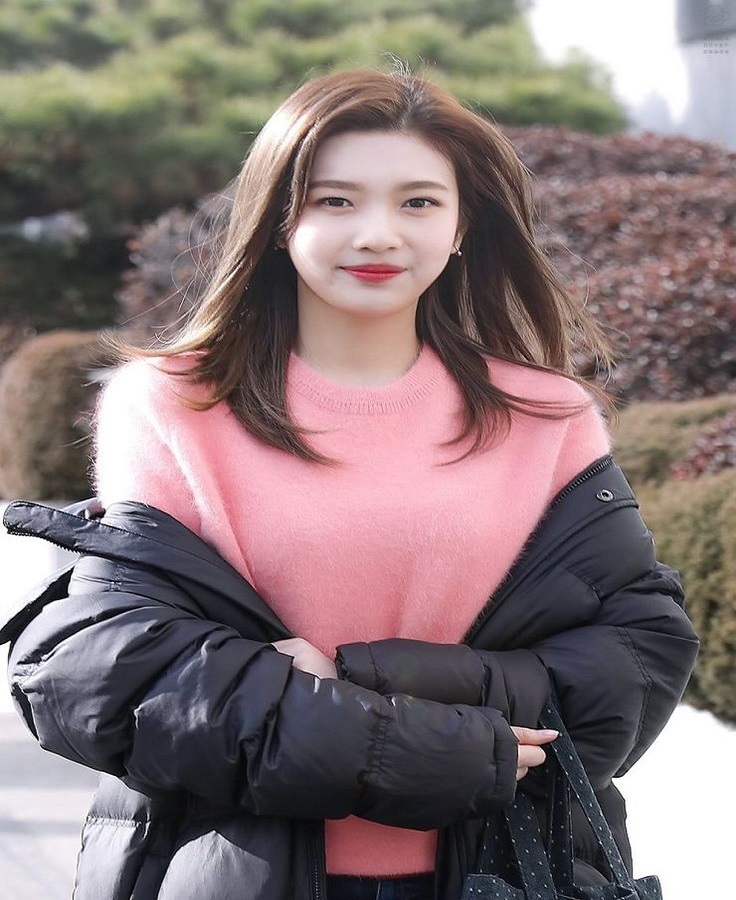 Informationen über Red Velvet Joy