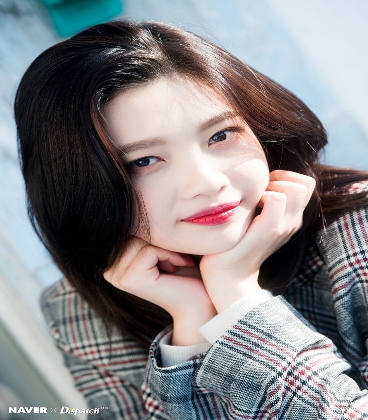 Red Velvet Joy