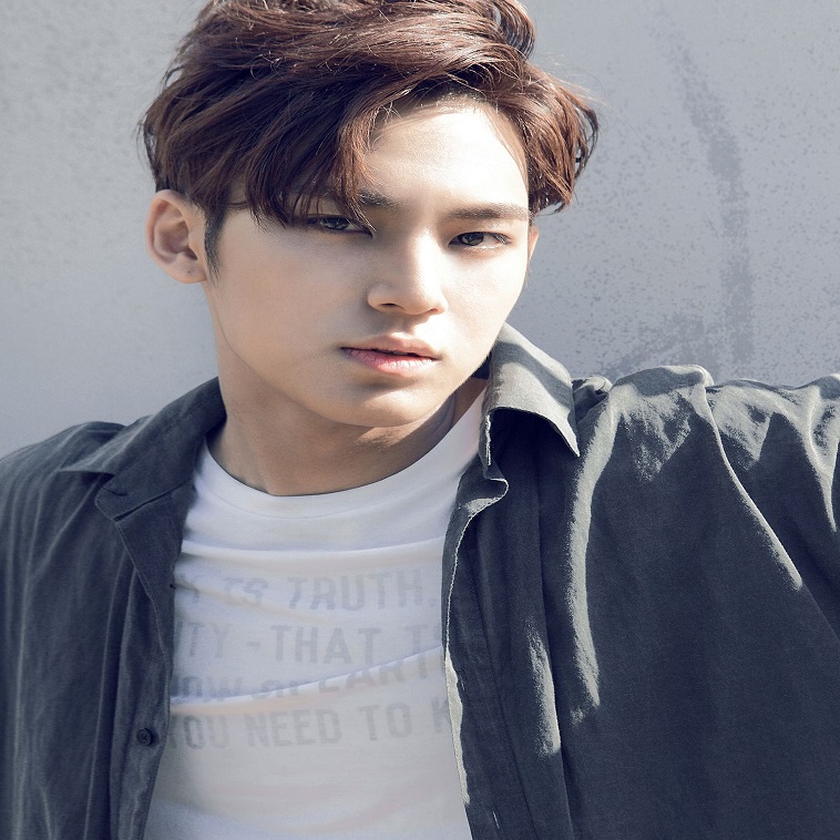 Seventeen Mingyu