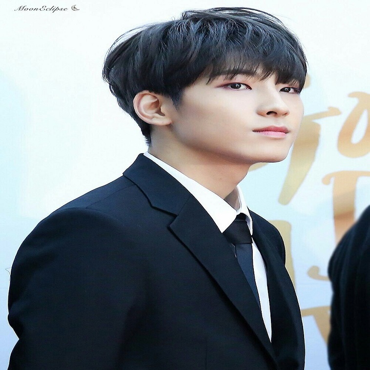 Seventeen Wonwoo