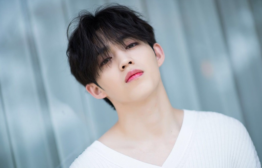 Wer ist Seventeen S.Coups
