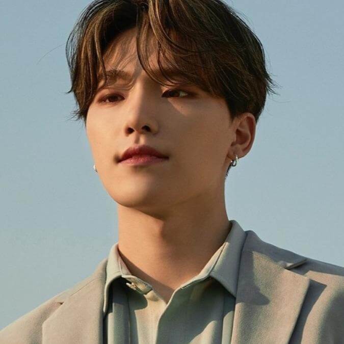 Seventeen Dino