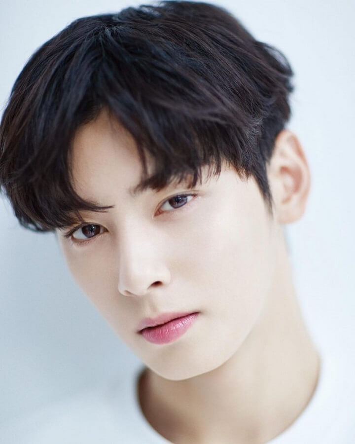 Cha Eun Woo Vermögen