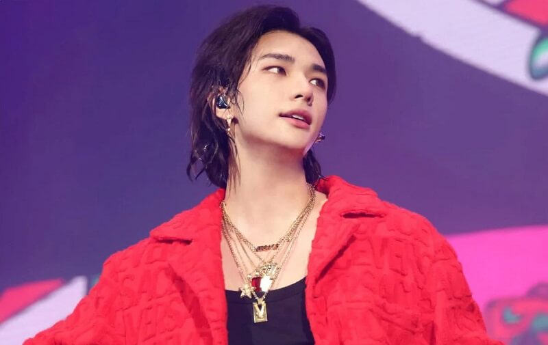 Le type idéal de Stray Kids Hyunjin