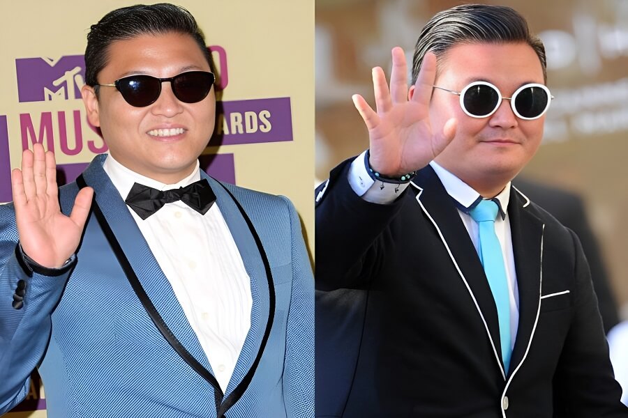 PSY Vermögen