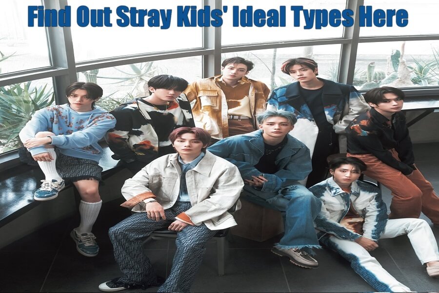 Stray Kids' Ideal Type
