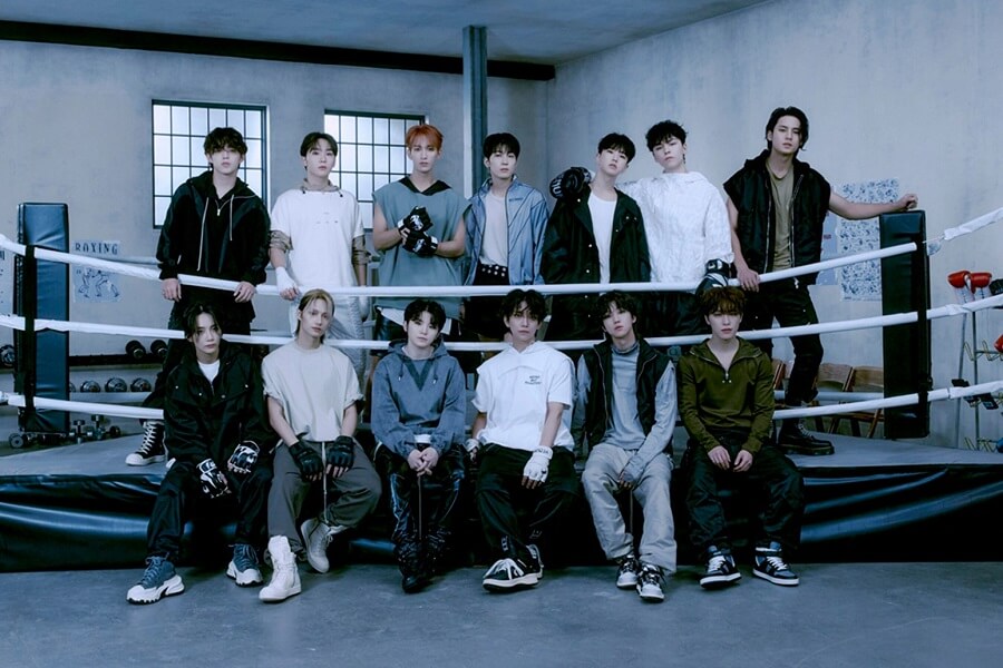 SEVENTEEN Member’s Ideal Type