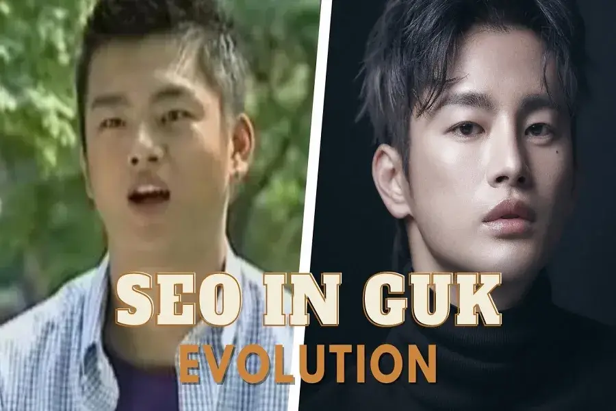 Seo In-guk Plastic Surgery