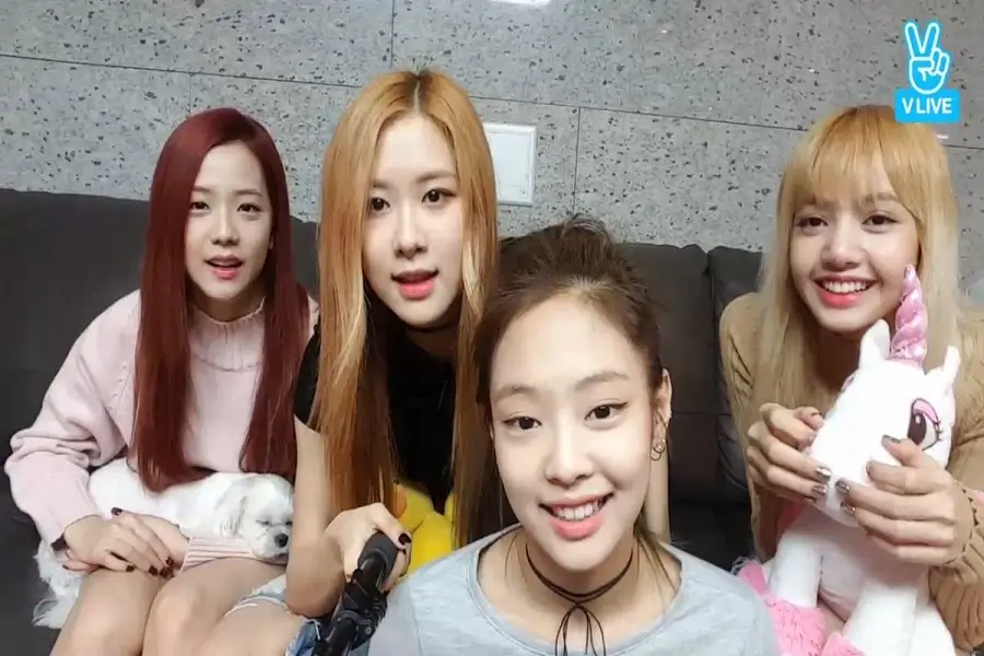 BLACKPINK Plastic Surgery