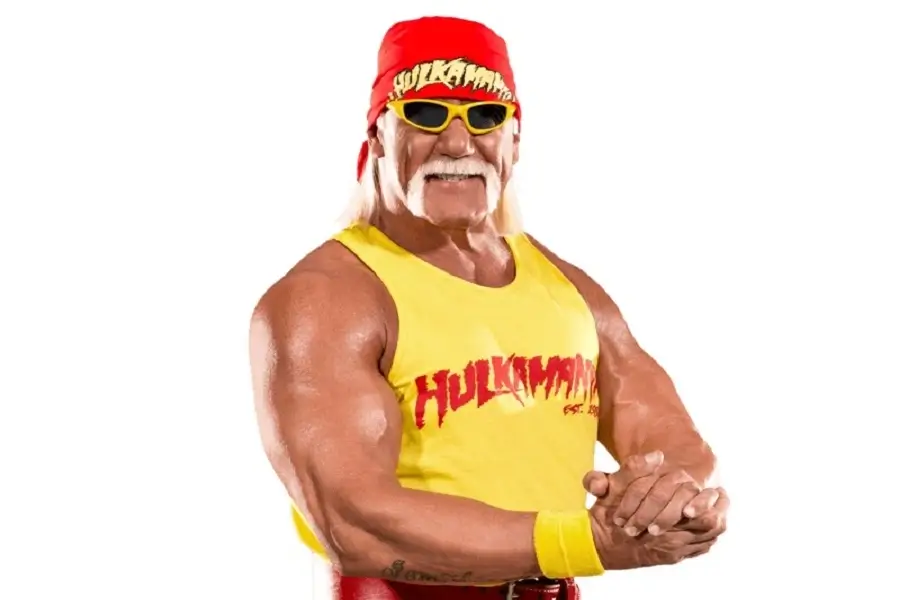 Hulk Hogan Vermögen